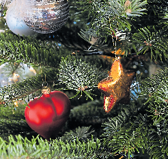 Überall in den Wohnzimmern stehen an den Weihnachtstagen festlich geschmückte Tannenbäume. Foto: Imago/Chromorange