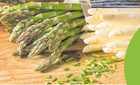Nicht nur Spargel-Fans freuen sich auf die weißen und grünen Leckereien, die es jetzt wieder vermehrt zu kaufen gibt. Foto: iStock