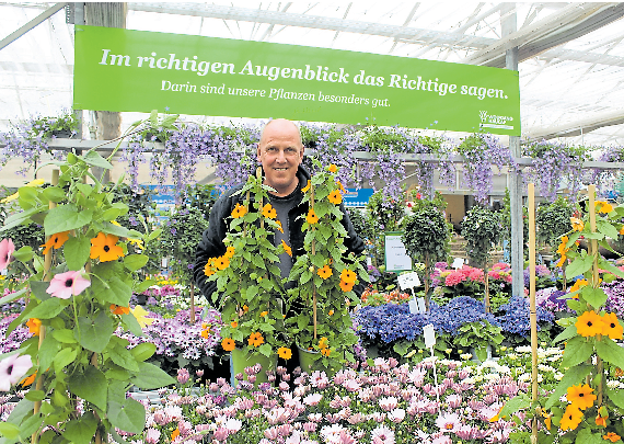 Inhaber Wolfgang Haucap leitet die „,Gärtnerei mit Leib und Seele“ mit Standorten in Bissendorf-Natbergen und Wallenhorst-Hollage.