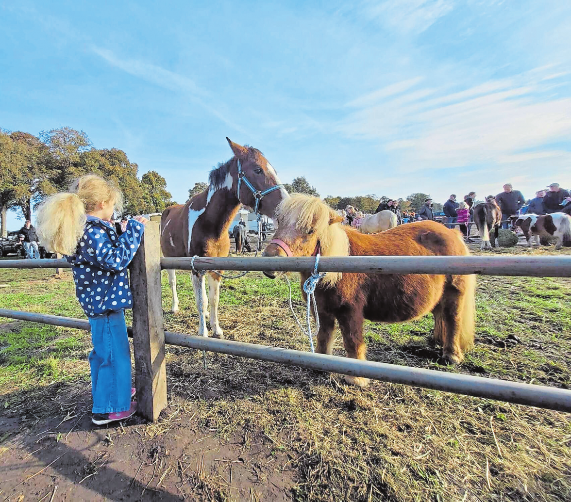 Ganz besondere Freundschaften entstehen. Foto: Hunteburger Ponymarkt e.V.