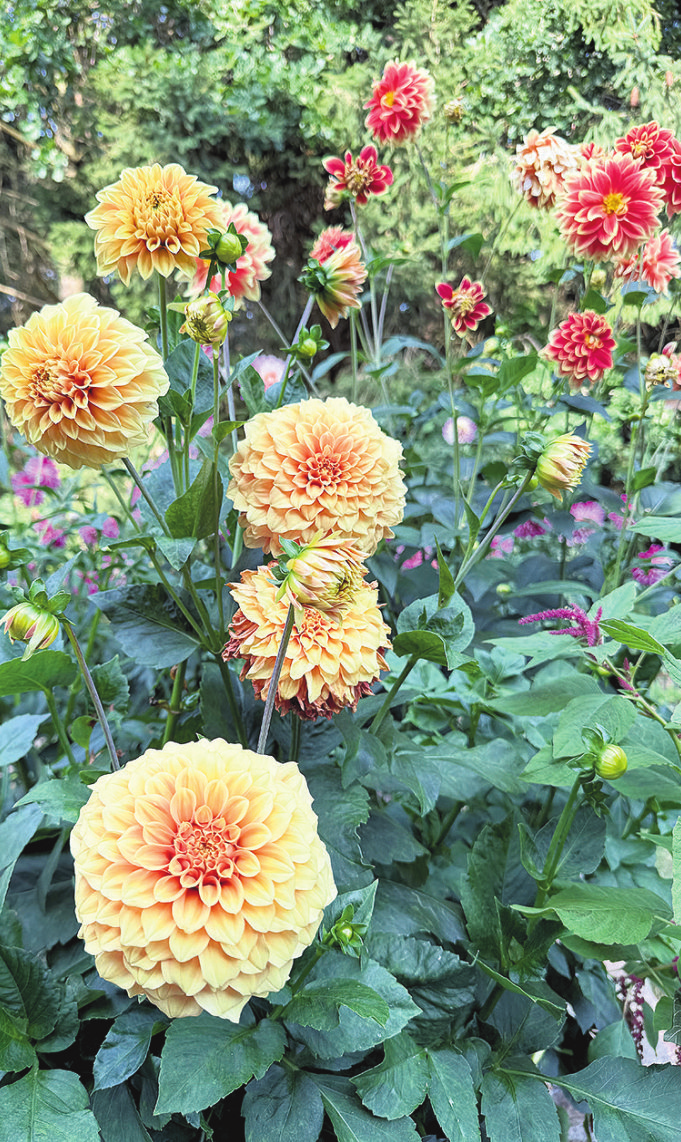 Der Charme des Unperfekten: Ein handgepflückter Strauß aus dem eigenen Garten bringt Persönlichkeit und natürliche Eleganz in die Hochzeitsdeko. Foto: Blankmann