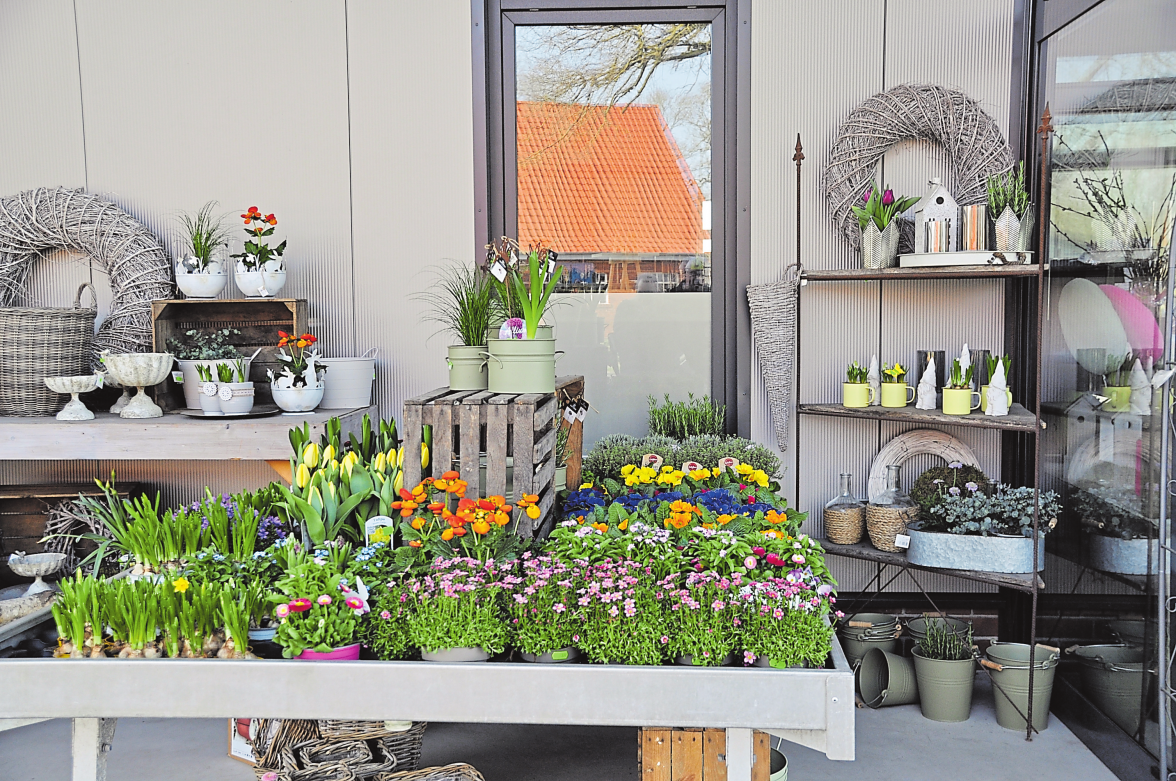 Jetzt zum Start der Gartensaison und passend für den Frühlingsmarkt, gehört auch die Floristik zum Sortiment dazu.