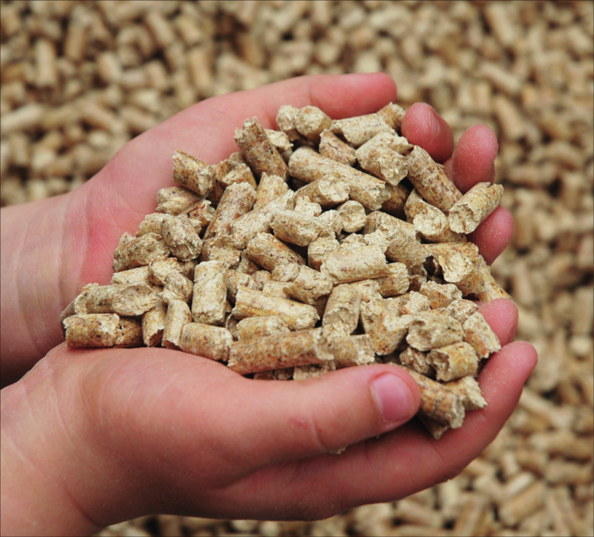Für das Heizen mit Holzpellets gibt es eine großzügige staatliche Förderung. Foto: ZVSHK/txn