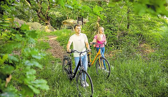 Großsteingrab auf Bruneforths Esch, Stavern. Foto: Emsland Tourismus GmbH