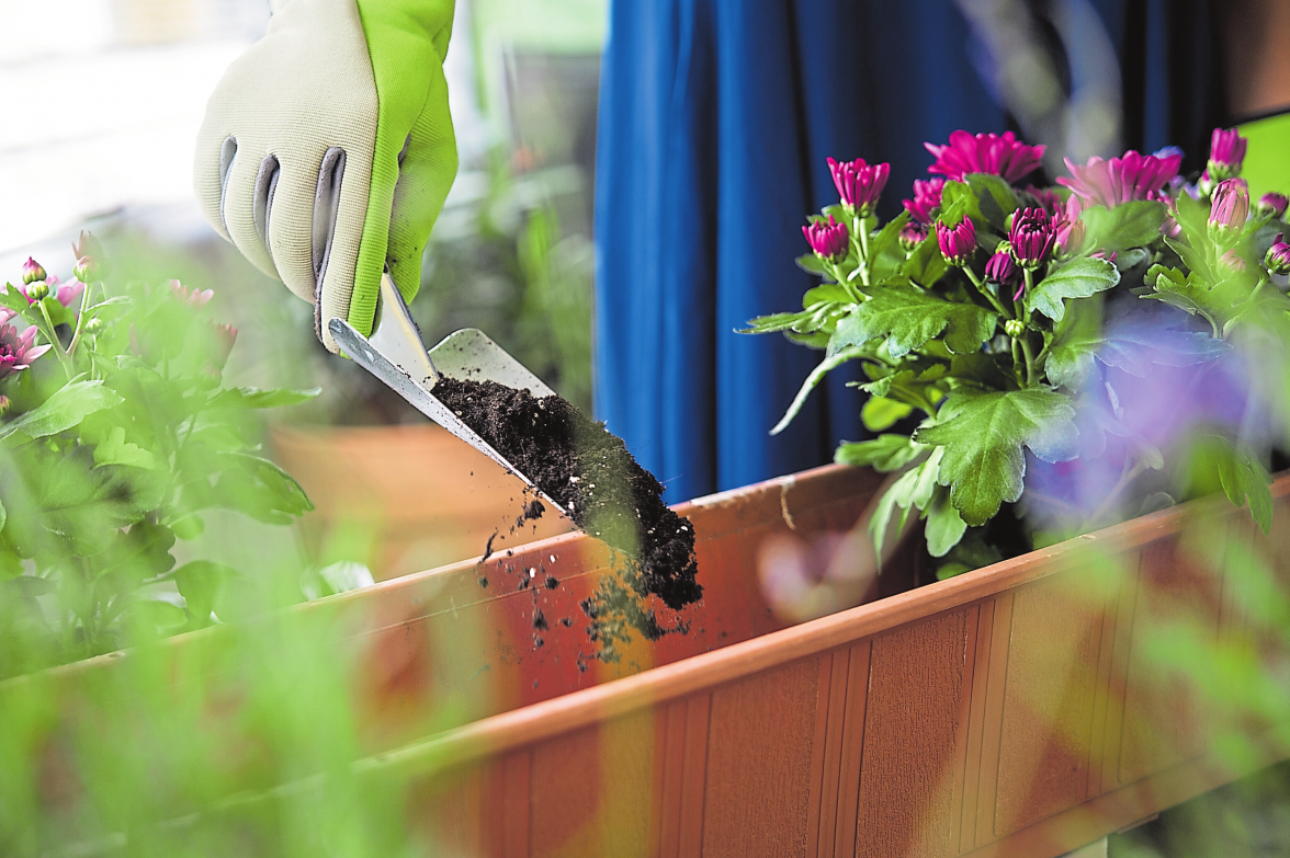 Beim Kauf von Gartenerde sollte man darauf achten, dass sie frei von Torf ist. Foto: Franziska Gabbert/dpa-tmn