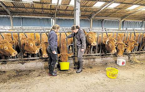 Mit Herz und Sachverstand: Für die Landwirtin steht das Wohlbefinden ihrer Herde an erster Stelle. Foto: IMAGO/Abacapress