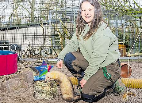 Kristina Rudolph wurde von der IHK als landesbeste Zootierpflegerin augezeichnet. Foto: IMAGO/BeckerBredel