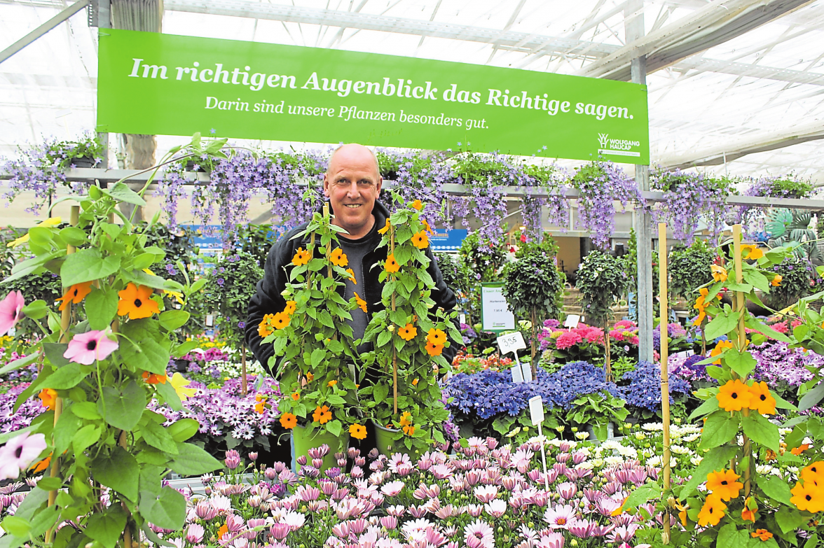 Inhaber Wolfgang Haucap leitet die gleichnamige „,Gärtnerei mit Leib und Seele“.