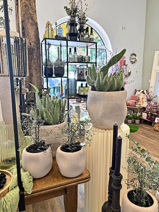 Sukkulenten-Arrangements in matten Naturkeramik-Töpfen.