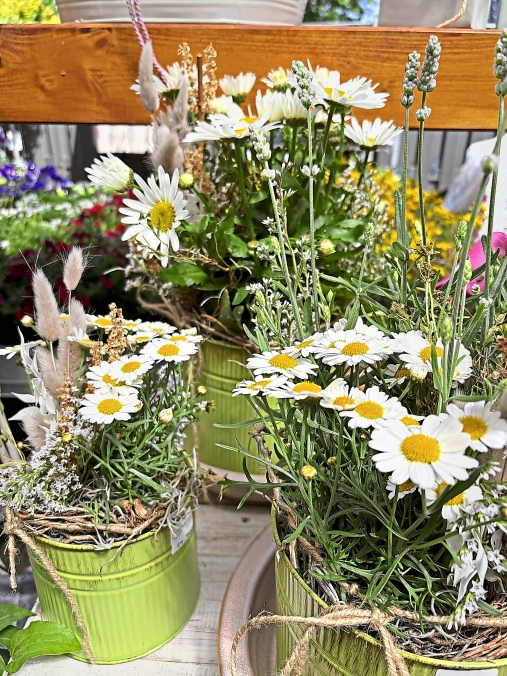 Naturnahes Kräuter- und Blütenensemble im Blechtopf. rustikalen