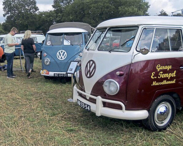 Alte VW Bullis