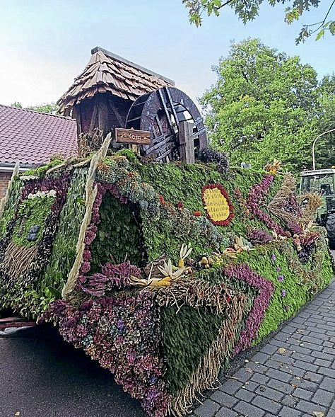 Der zweite Gewinner 2025. Foto: Anna Cordes