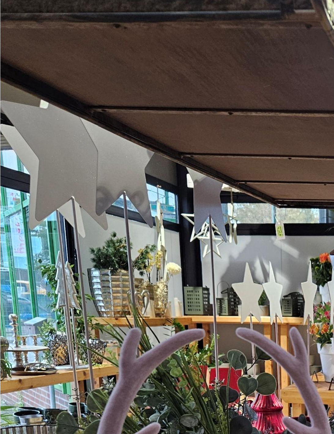 Diese Hirsche ziehen garantiert alle Blicke auf sich. Bild: Melanie Jülisch