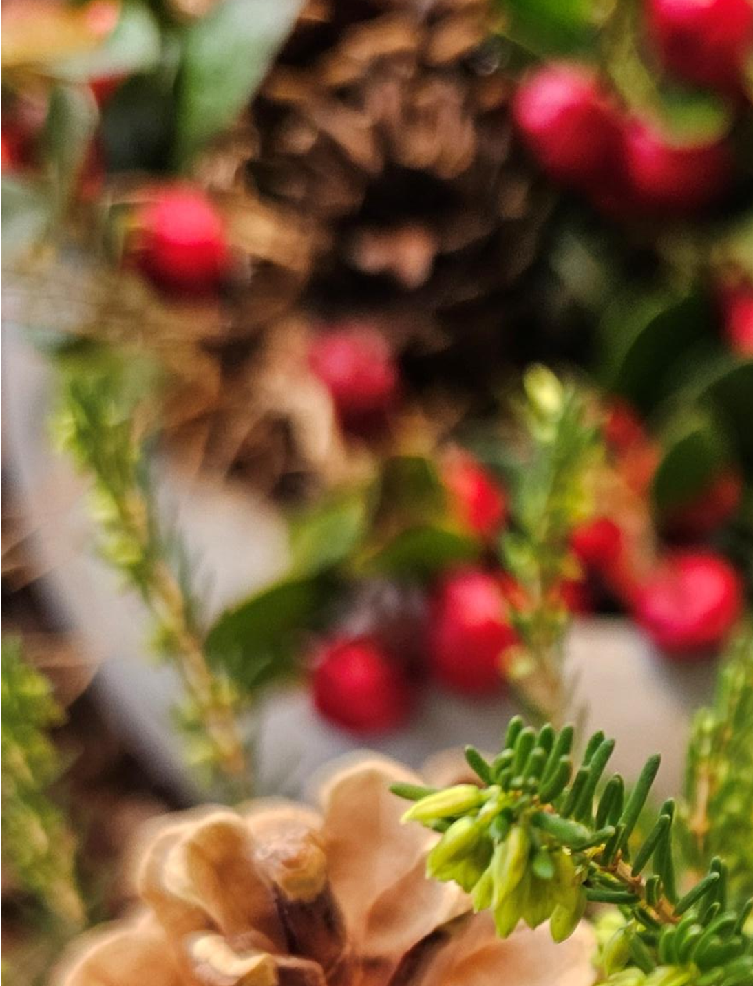 Im November denken wir verstärkt an Verstorbene und schmücken ihre Gräber. Bild: Melanie Jülisch