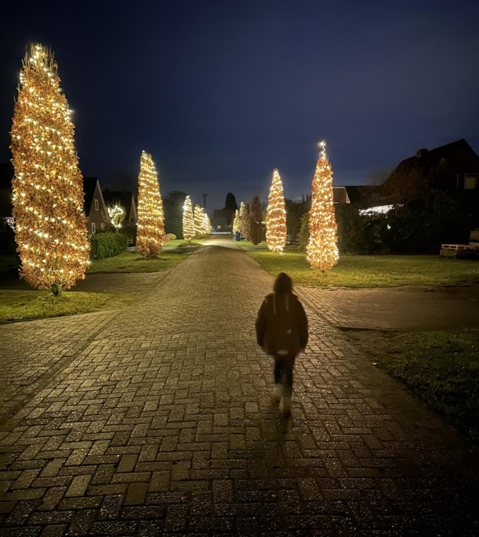 Foto: Gemeinsame Aktion: Alle Anwohner der Ginsterstraße haben die Eichensäulen geschmückt. Bild: Privat