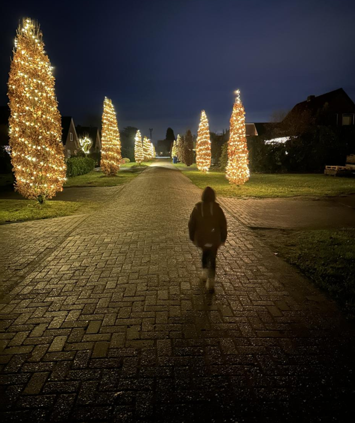 Foto: Gemeinsame Aktion: Alle Anwohner der Ginsterstraße haben die Eichensäulen geschmückt. Bild: Privat