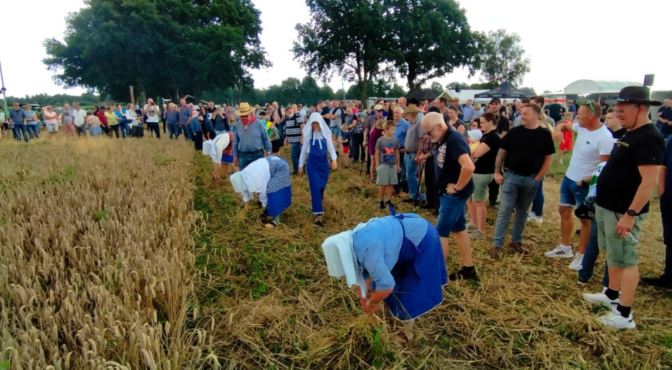 Garben binden.