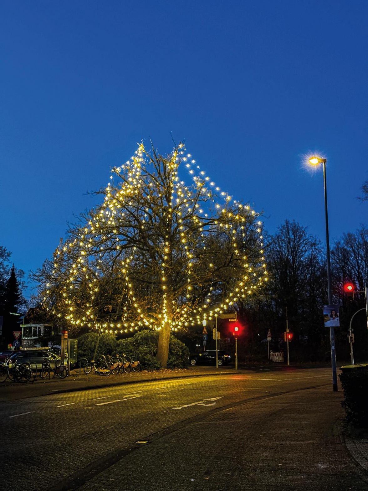 Der Lichterglanz der leuchtenden Ofelia beim Bahnübergang erfreute in der Adventszeit die Ofenerdieker. BILD: privat