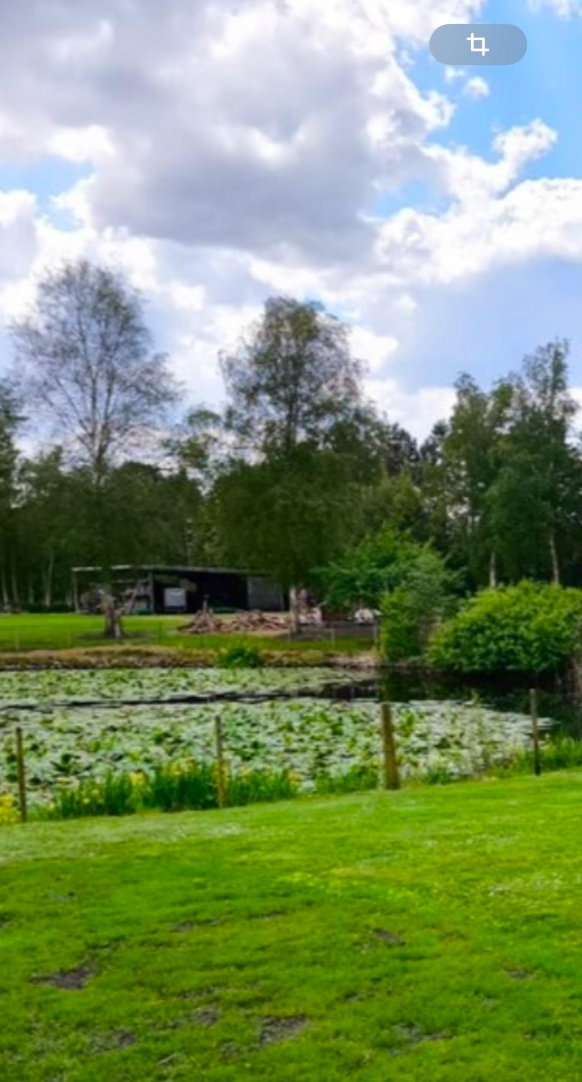 Ein schönes Außengelände mit See ermöglicht auch eine Trauerfeier im Freien. Bild: STERN Bestattungen