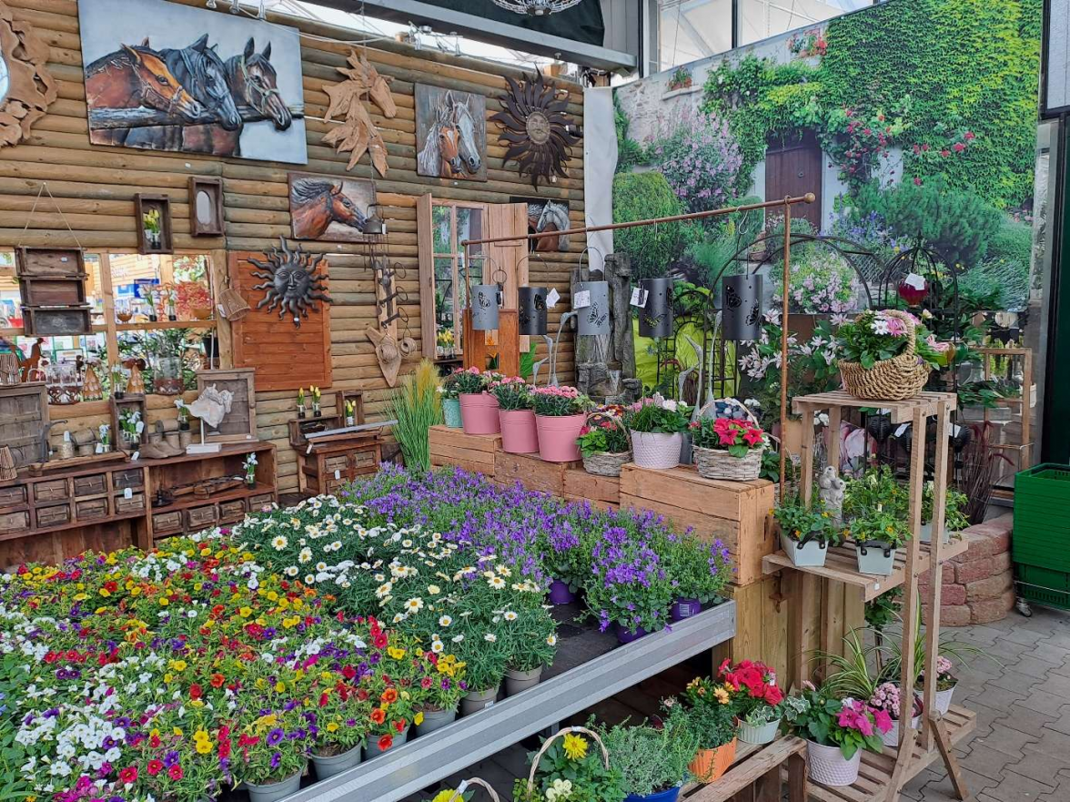 Bepflanzte Schalen, diverse Frühlingsblumen und Wand-Deko wie etwa Metallbilder sind in großer Auswahl zu finden. BILD: Privat