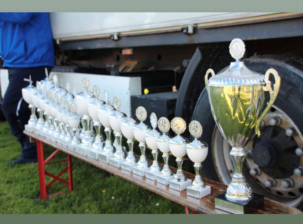 Jede Mannschaft erhält einen Pokal. Hier sind die Pokale D-Jugend und der Wanderpokal zu sehen. BILD: Privat