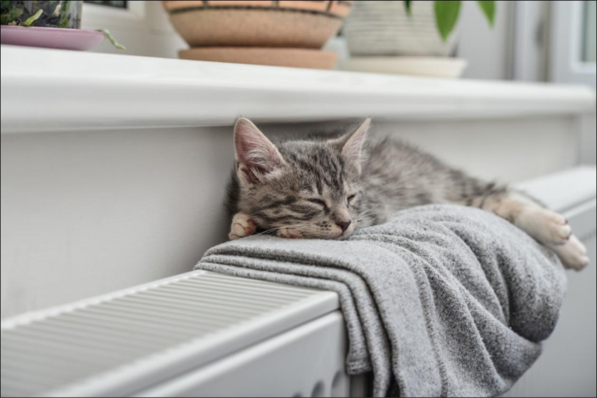 Wohlfühlatmosphäre: Richtiges Heizen sorgt für behagliche Wärme. BILD: txn-Foto: BWP e.V./iStock