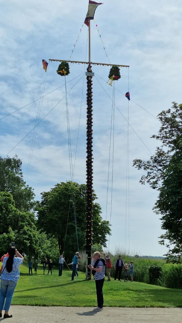 Am Pfingstsonntag wird um 10:30 Uhr der Pfingstbaum in Absen feierlich aufgestellt. Foto: Archiv