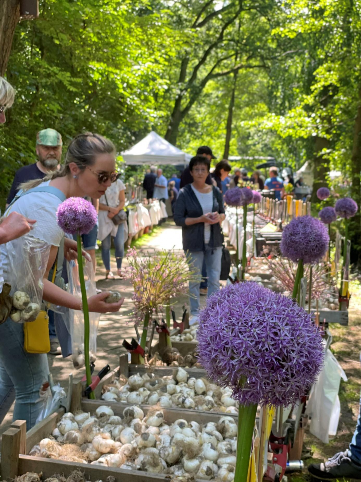 Auch in diesem Jahr bieten rund 80 Aussteller eine große Vielfalt für den Garten an. BILD: Nordenham Marketing & Touristik e. V.
