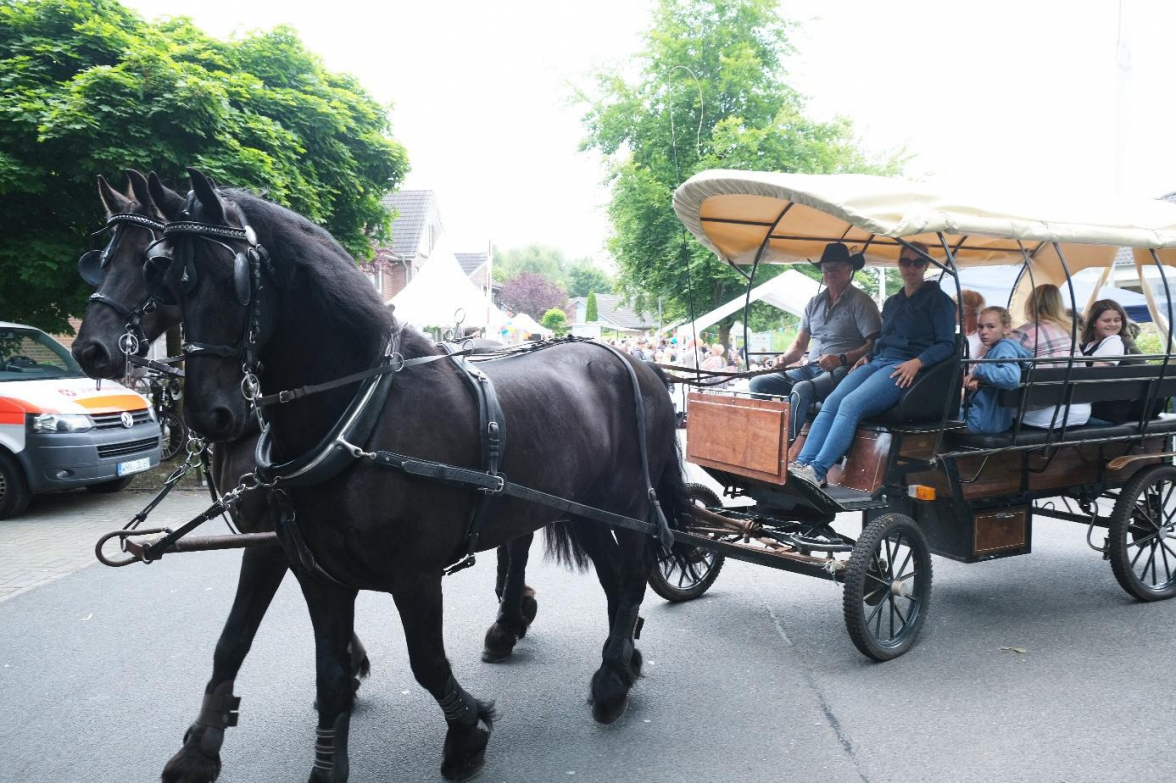 Eine Kutschfahrt „rund um den Pudding“ wird zu den Highlights des Tages gehören. Bild: Privat