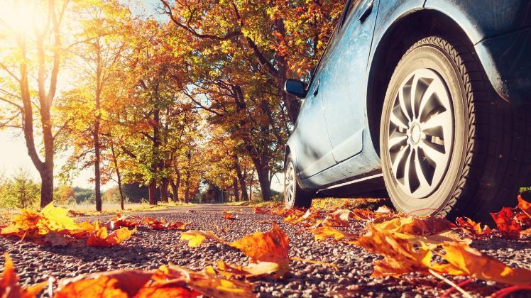 Buntes Laub sorgt für herbstlichen Zauberund für rutschige Straßen. Bild: iStock
