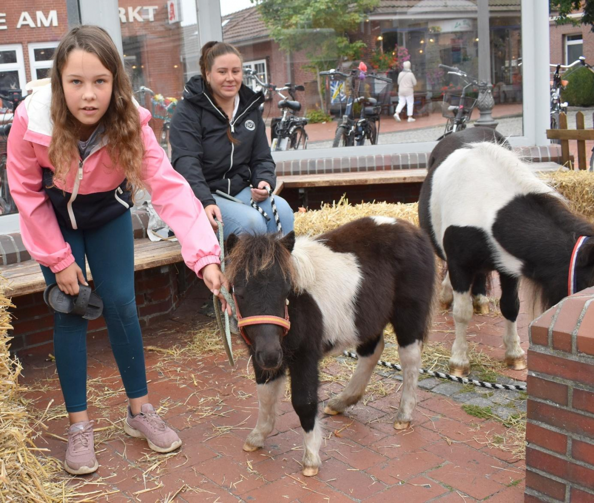 Auch in diesem Jahr kann man auf dem Familien-Erntefest heimische Tiere bestaunen. Bild: Wolfgang Malzahn