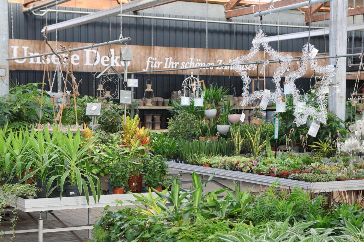 Gartencenter Kruse, Handelsring 2: Hier gibt es nicht nur bei der Heide eine große Auswahl, sondern auch bei anderen Pflanzen und Deko-Artikeln. Zum Heidefest gibt es neben Rabatten auf Heidekränze, -gestecke und -arrangements auch einen kleinen Imbiss und „Kürbisse schnitzen“. BILD: Janna Leismann