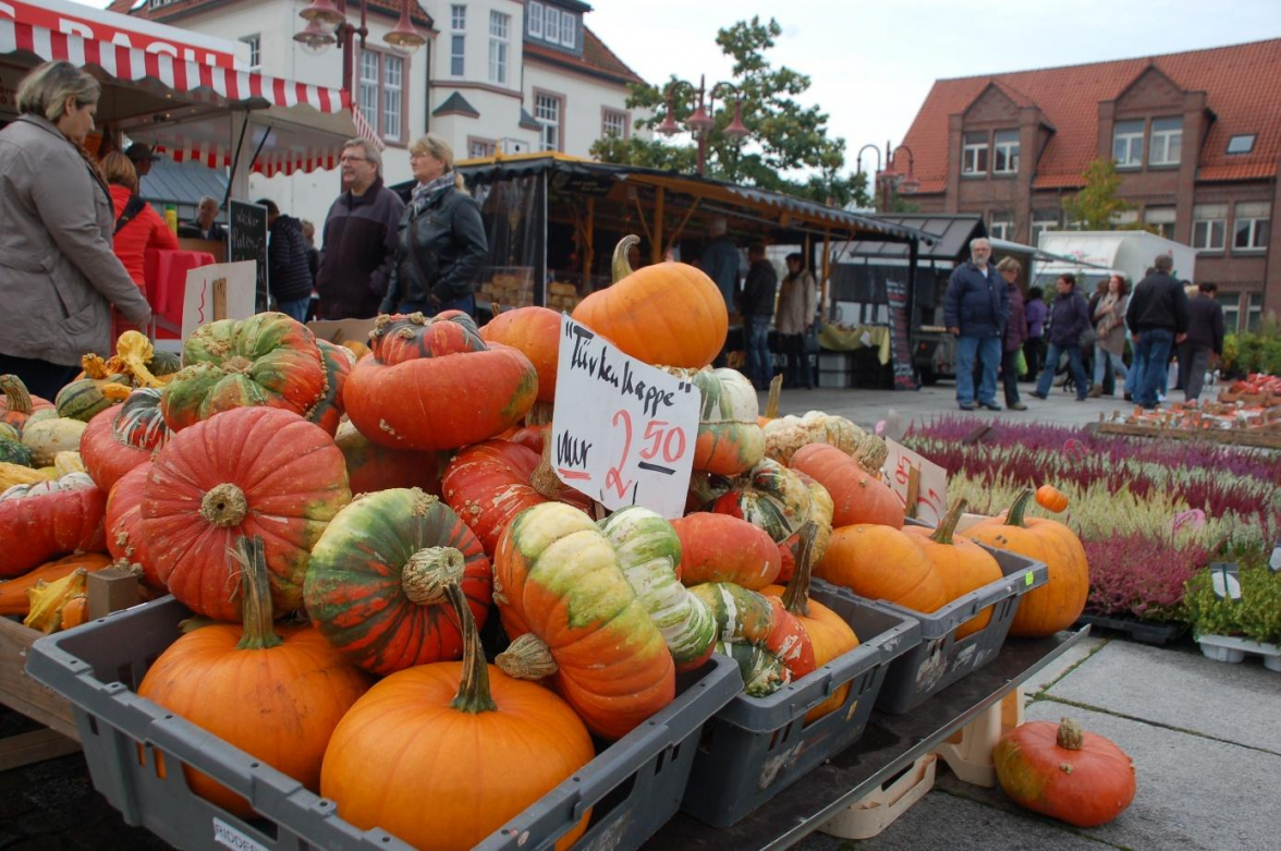 Herbstliches Feeling mit Kürbissen und Heidekraut beim Ochsenmarkt. BILD: NWZArchiv