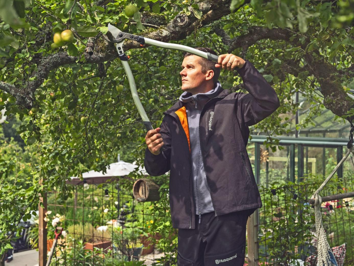 <span id="ideo5">Wer Obstbäume auslichtet, sorgt für mehr Licht und Luft in der Krone. Bild: djd/www.greenbase.de</span>