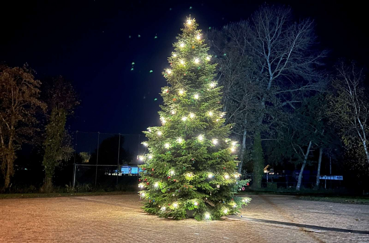 Auf dem Festplatz wird wieder ein festlich geschmückter Weihnachtsbaum im Lichterglanz erstrahlen. BILD: Archiv/Hannes Langer