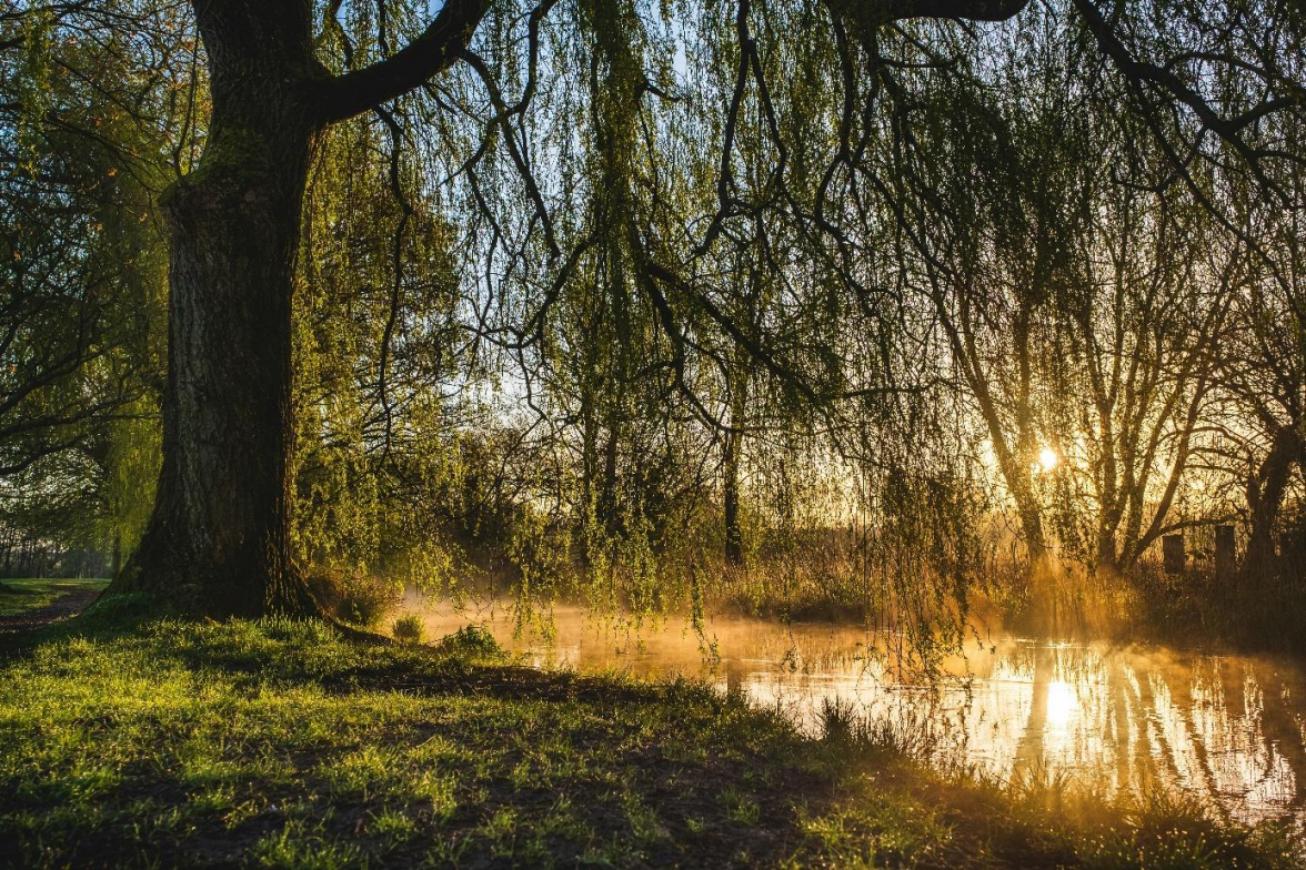 Das Bewusstsein um die begrenzte Zeit kann den Mut stärken, den eigenen Weg bewusst zu gehen. BILD: Alfred Kenneally/Unsplash