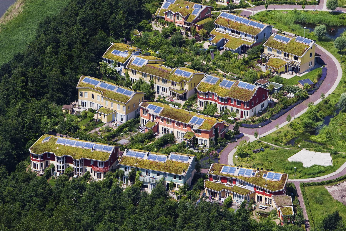 Gründächer lassen sich auch mit Solaranlagen bestens kombinieren. BILD: Sempergreen