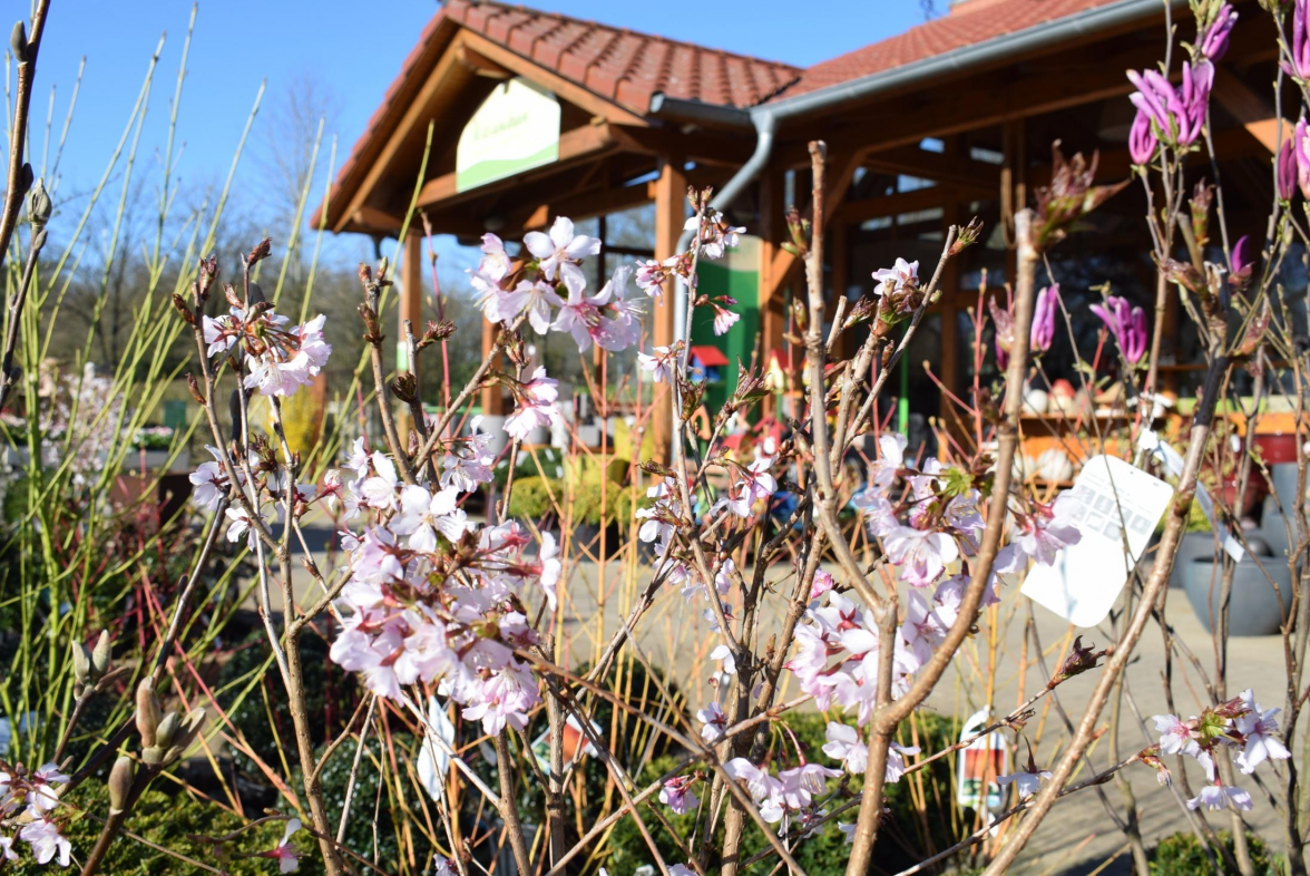 Herzlich willkommen bei der Wardenburger Landpartie im Pflanzencenter Warnken. Bild: Melanie Jülisch