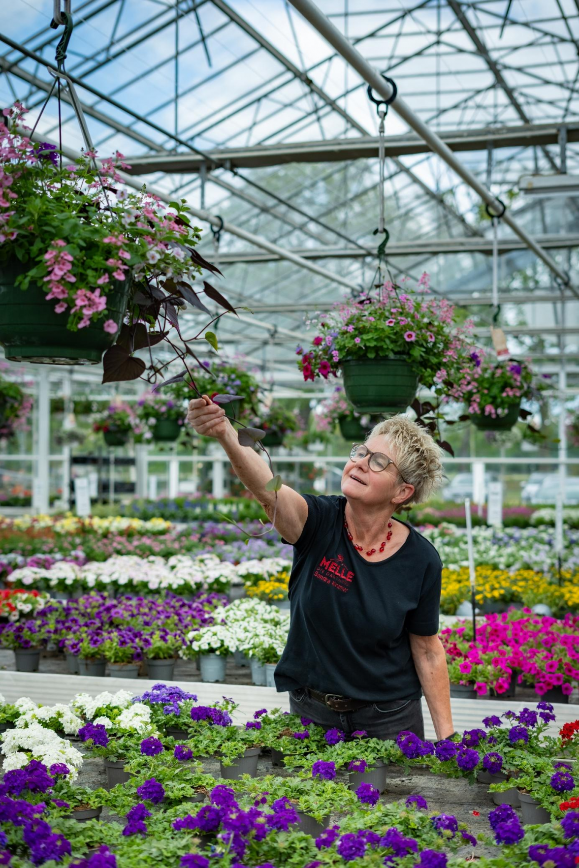 Das gesamte Team arbeitet mit Leidenschaft und fachlicher Kompetenz, hier Sandra Kramer. BILD: Gärtnerei Melle