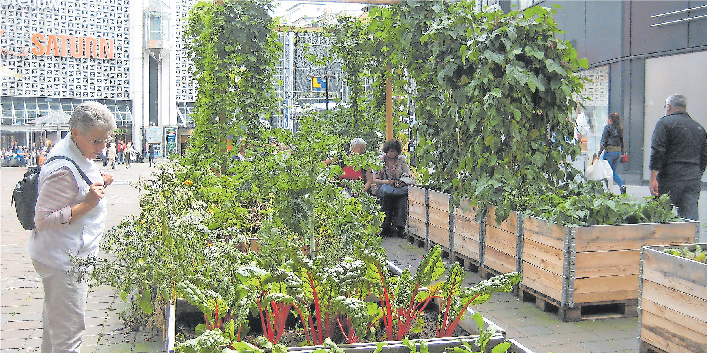 DER MOBILE GEMÜSEGARTEN AUF DEM HANSE ATENHOF IN BREMEN ZEIGT, DASS SELBST IM STADTZENTRUM URBAN FARMING MÖGLICH IST UND VON DER BEVÖLKERUNG POSITIV AUFGENOMMEN WIRD. FOTO: WIKIMEDIA/JOCIAN