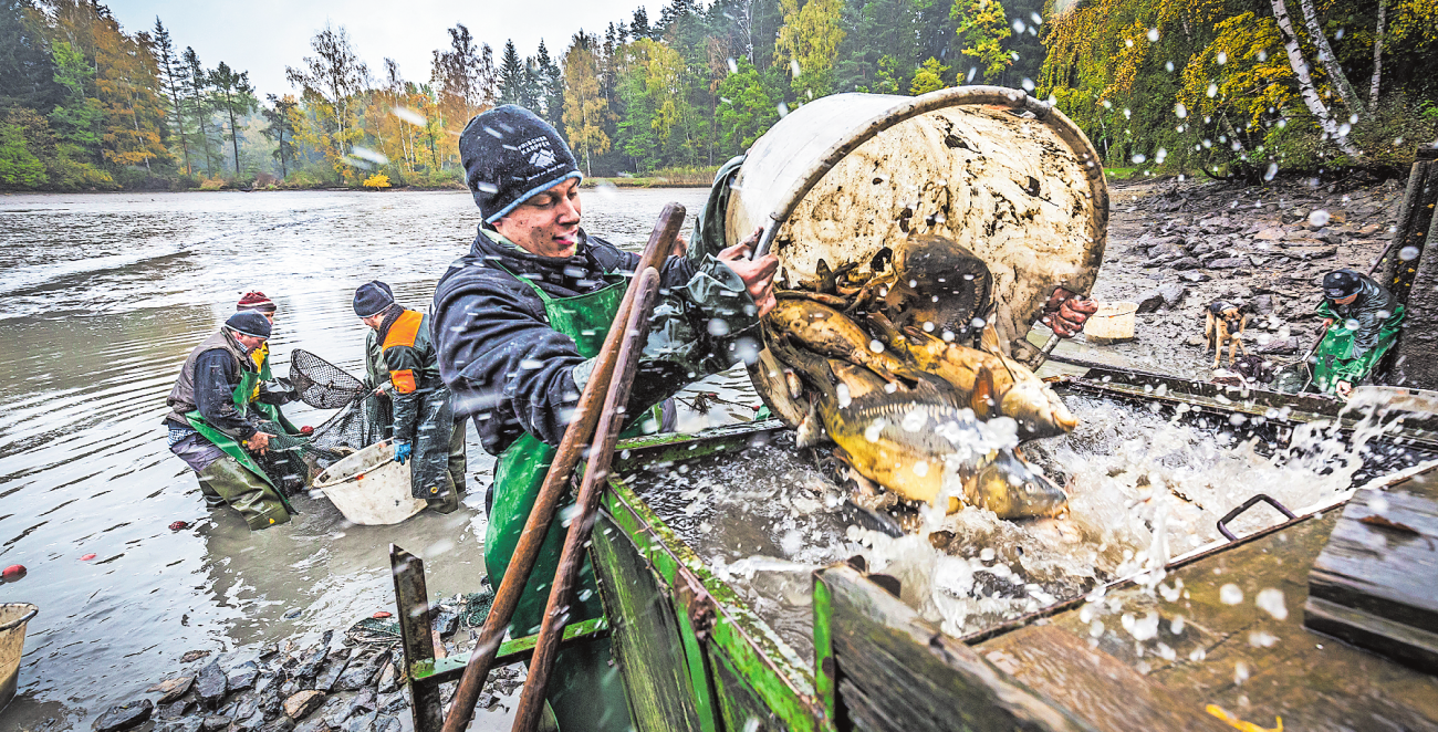 Abfischen: Harte Arbeit, die nur im Teamwork funktioniert.