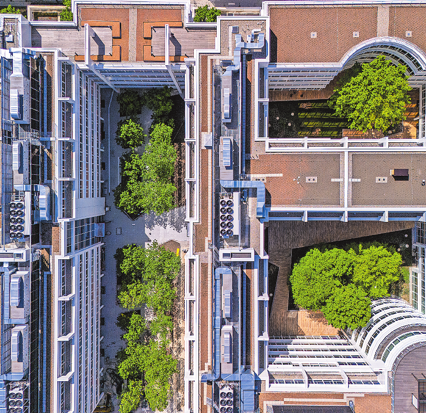 DAS BEGRÜNUNGSKONZEPT SIEHT 18.000 VERSCHIEDENE BLUMENARTEN SOWIE 9200 PFLANZEN ARTEN BESTEHEND AUS STAUDEN, GRÄSERN UND STRÄUCHERN VOR. EBENSO ERGÄNZEN BÄUME DIE PARKÄHNLICHE ANMUTUNG. FOTO: ALLGEMEINE SÜDBODEN, FOTOGRAF MICHAEL KAMMETER
