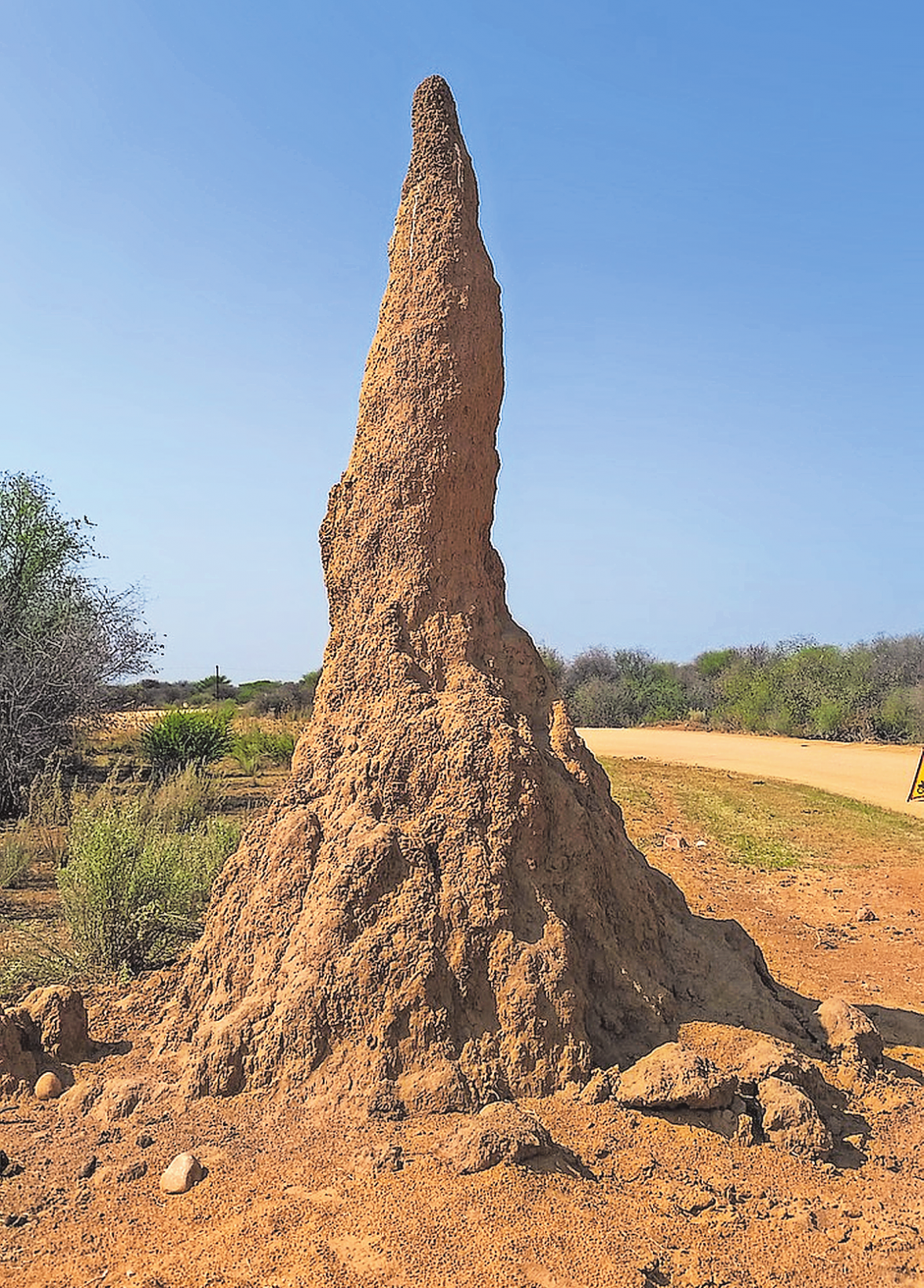 NATURPHÄNOMENEN GEFOLGT