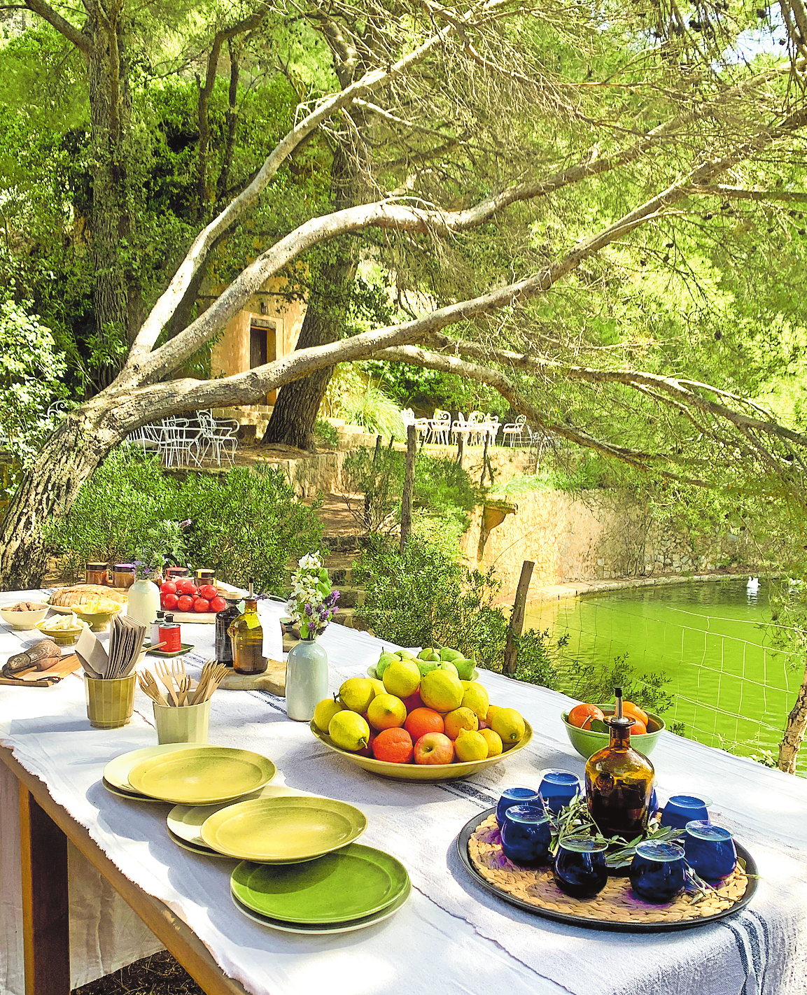 Hier saß schon Sisi und probierte das Olivenöl ihres werten Cousins. Heute verkosten Besucher aus aller Welt die wertvollen Erzeugnisse der Finca. Foto: Franziska Horn