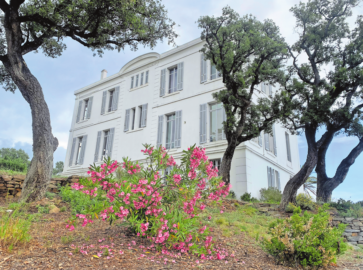 DAS UMGEBENDE GRÜN UND DER BLÜHENDE RHODODENDRON BILDEN EINEN STARKEN FARBKONTRAST ZUR HOCH AUFRAGENDEN DOMAINE FONCIN MIT DEN HELLGRAUEN FENSTERLÄDEN.