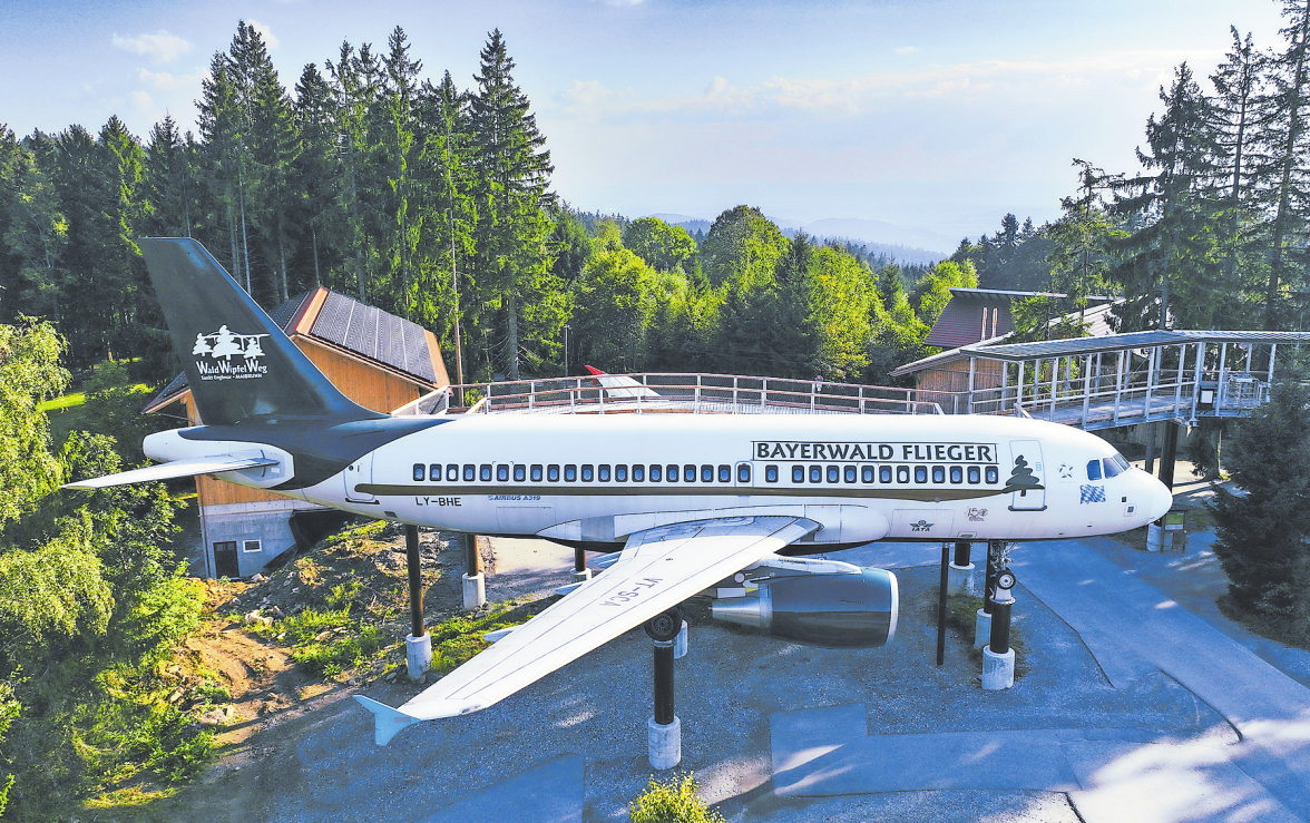 Der Bayerwaldflieger ist eine noch recht neue Attraktion. Foto: Waldwipfelweg St. Englmar