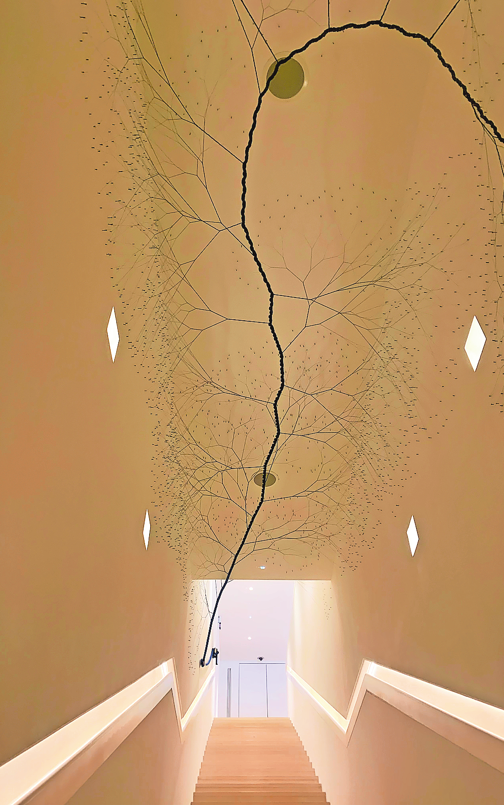 TREPPENAUFGANG IM INNEREN DER FONDATION CARMIGNAC MIT RAFFINIERT AUSGEKLÜGELTER LICHTPLANUNG VON „LES ÉCLAIREURS“ AUS LYON.