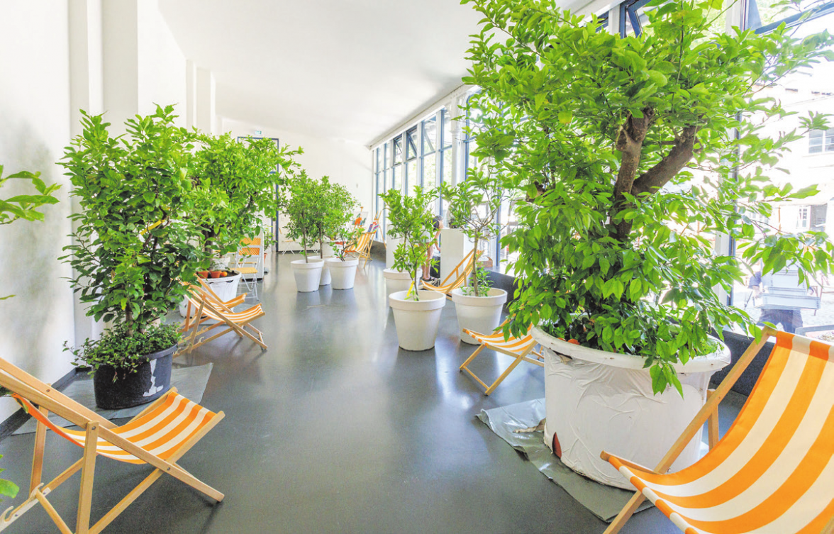 „Die Orangerie“ - ein immersiver, experimenteller Architektur(t)raum