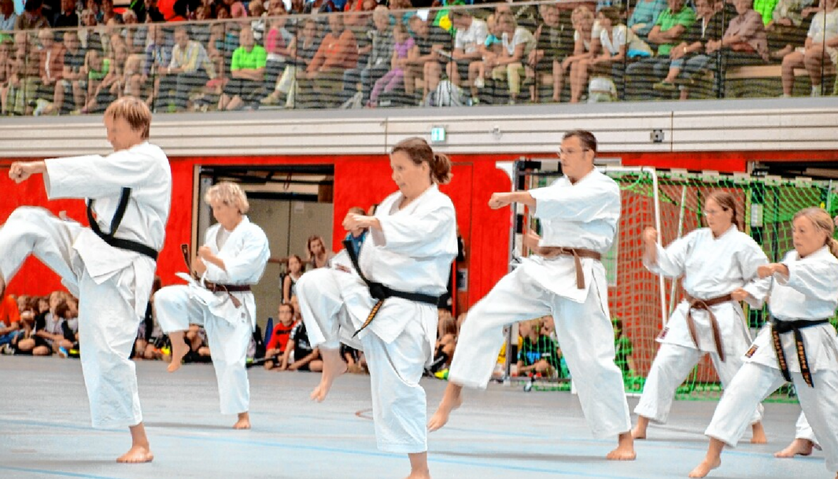 Die Karate-Abteilung des Bredstedter Turnund Sportvereins bei einer Vorführung. Fotos: Udo Rahn