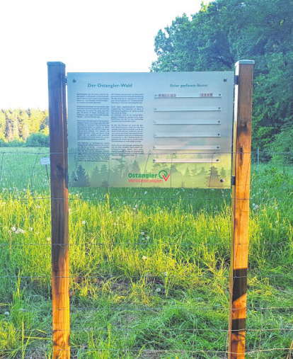 Seit Jahren schon fördert die Ostangler Brandgilde die Neuanpflanzung von Bäumen in der Region. Fotos: Ostangler